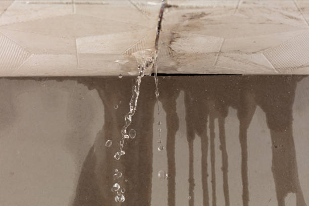 Professional Burst Pipe Cleanup technician working in Johnson City, TX